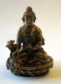 Buddha medicíny